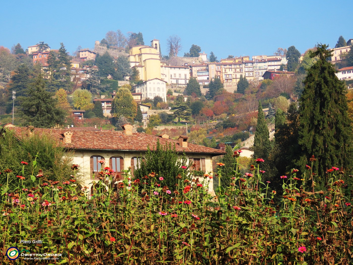 09 Dalla Scaletta delle more bella vista in Borgo Canale.JPG